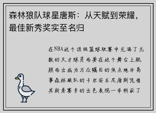 森林狼队球星唐斯：从天赋到荣耀，最佳新秀奖实至名归