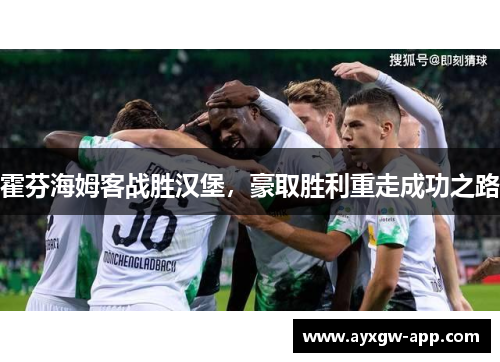 霍芬海姆客战胜汉堡，豪取胜利重走成功之路