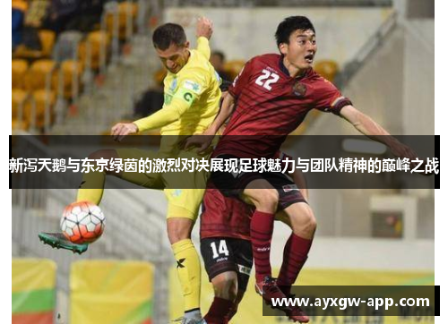 新泻天鹅与东京绿茵的激烈对决展现足球魅力与团队精神的巅峰之战
